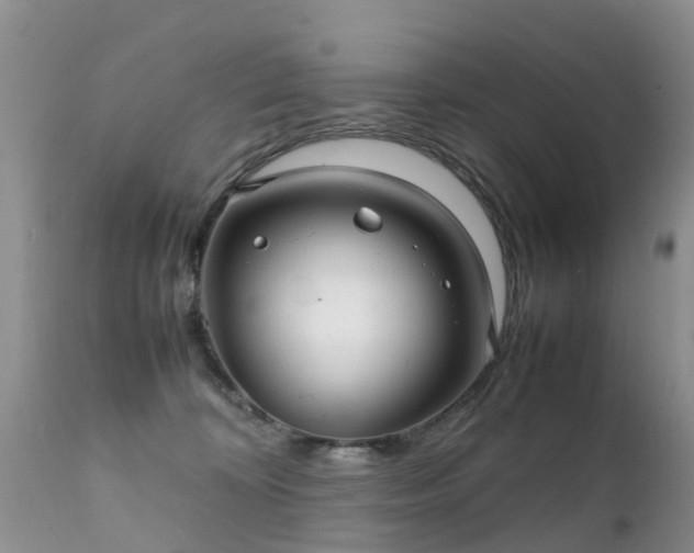 X0000112110324200908111448