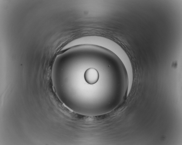 X0000112110325200908111448