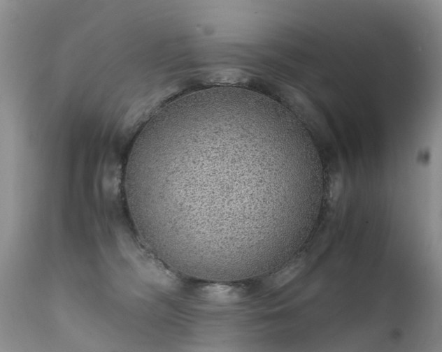 X0000112110326200908111448