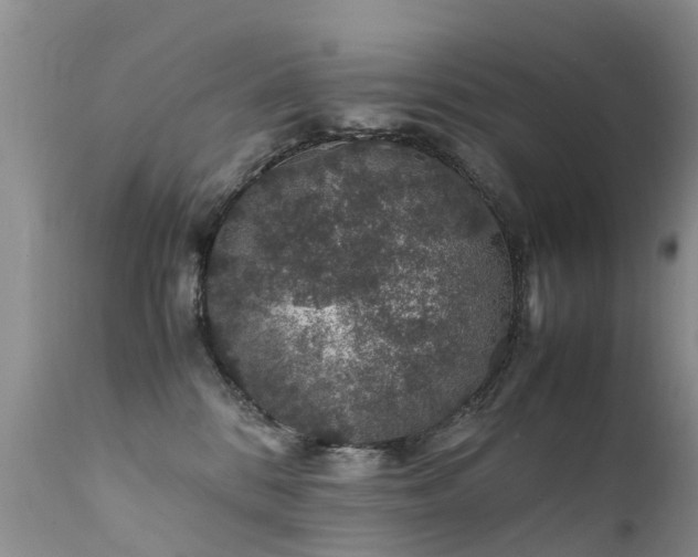 X0000112110328200908111448