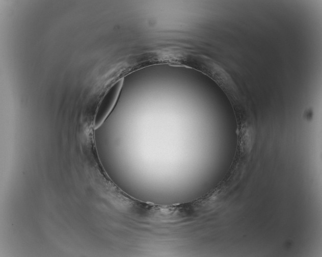 X0000112110329200908111448