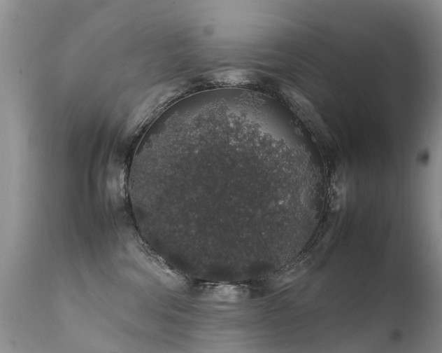 X0000112110330200908111448