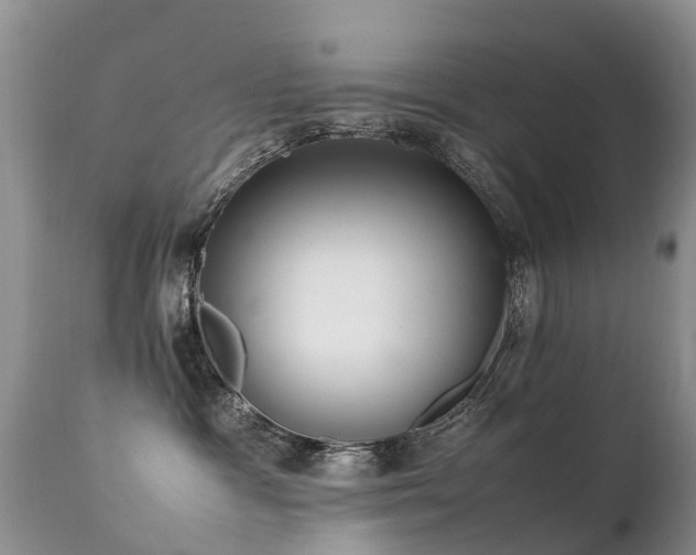 X0000112110333200908111448