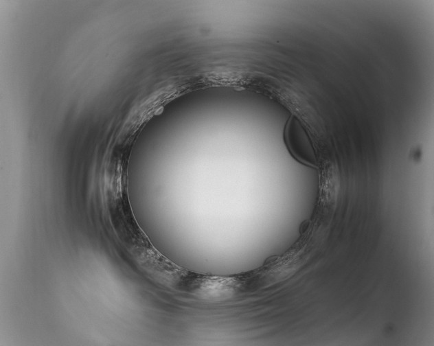 X0000112110334200908111448