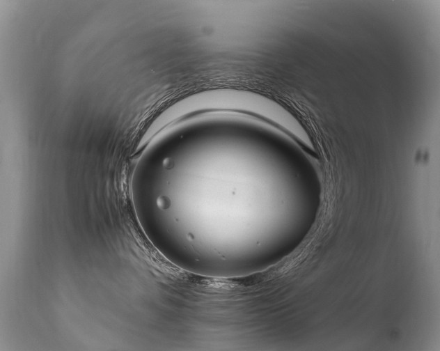 X0000112110336200908111448