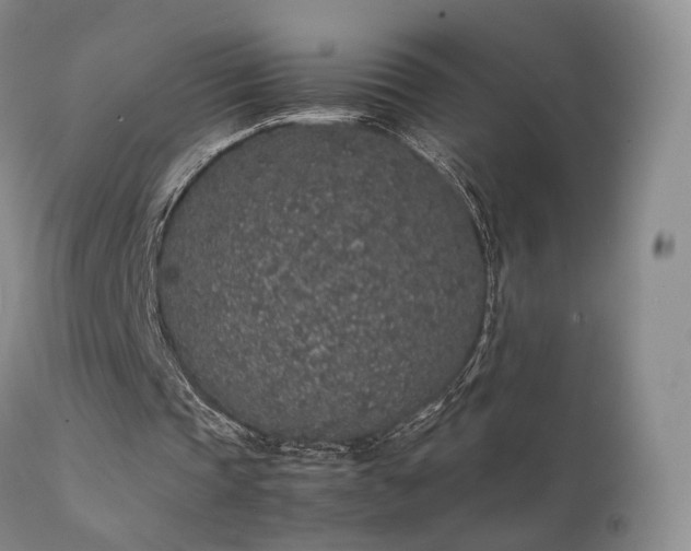 X0000112110337200908111448