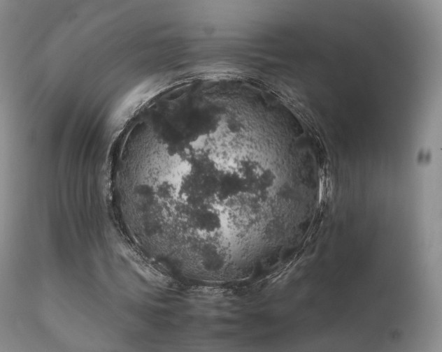 X0000112110339200908111448