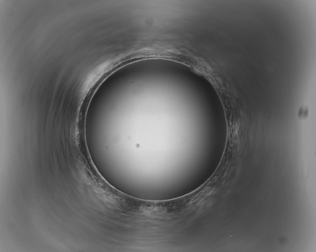 X0000112110340200908111448