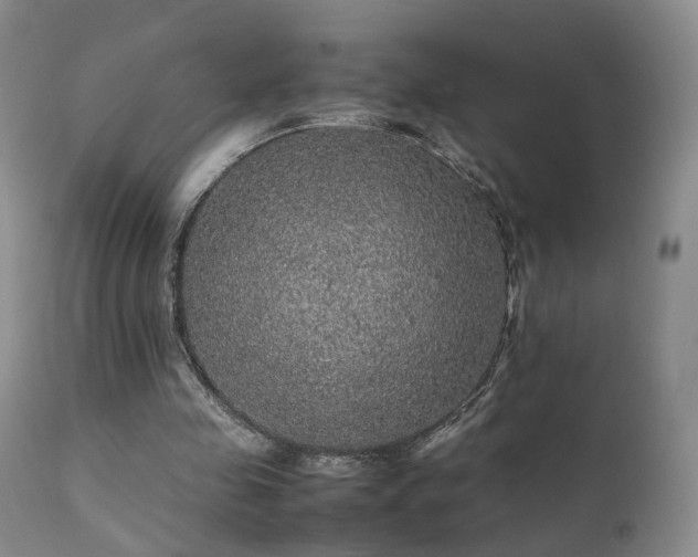 X0000112110341200908111448