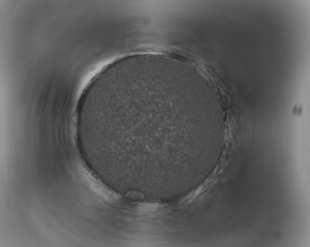 X0000112110342200908111448