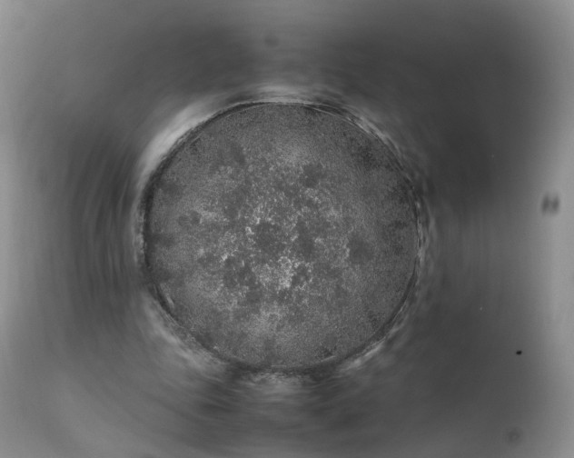 X0000112110343200908111448