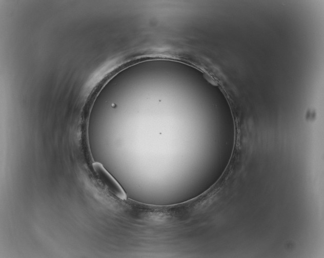 X0000112110344200908111448