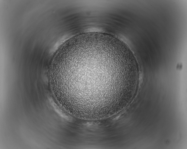 X0000112110345200908111448