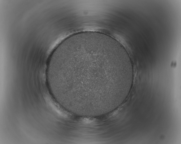 X0000112110346200908111448