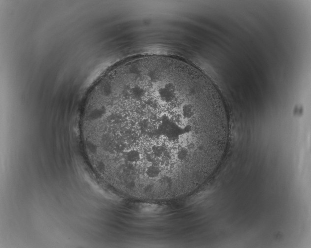 X0000112110347200908111448