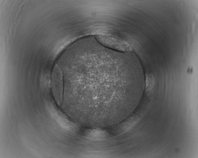 X0000112110348200908111448