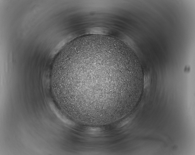 X0000112110349200908111448