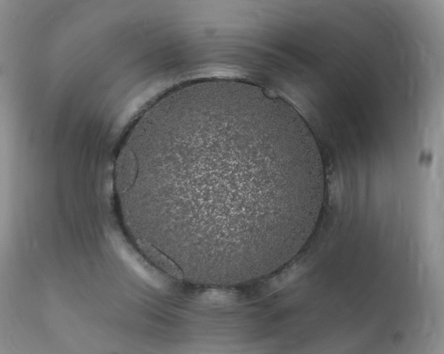 X0000112110350200908111448