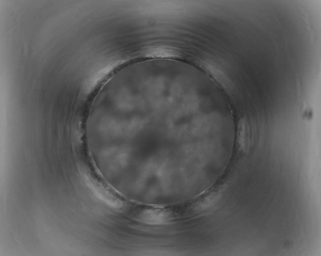 X0000112110351200908111448