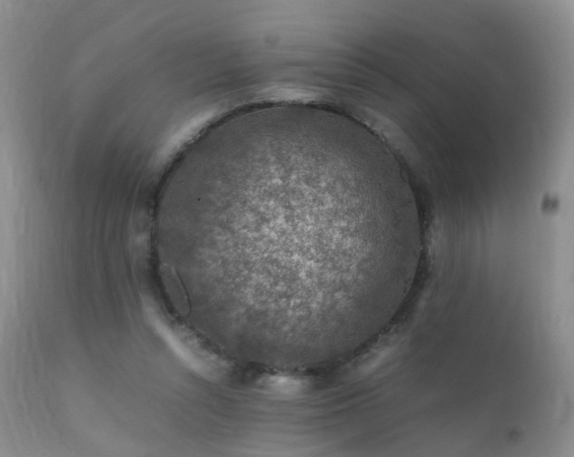 X0000112110352200908111448