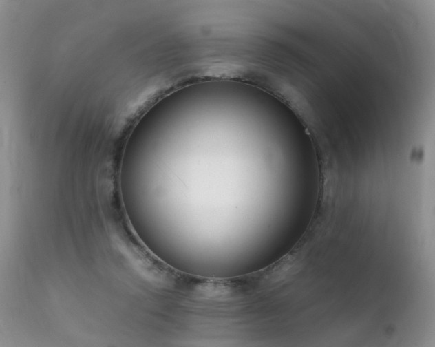 X0000112110354200908111448