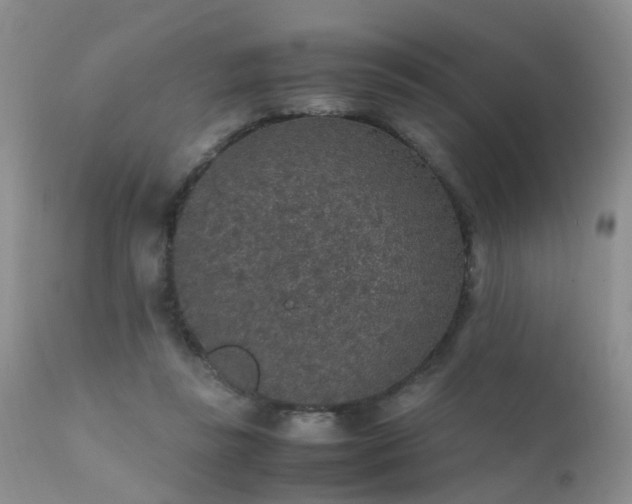 X0000112110355200908111448