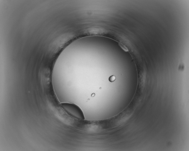 X0000112110356200908111448