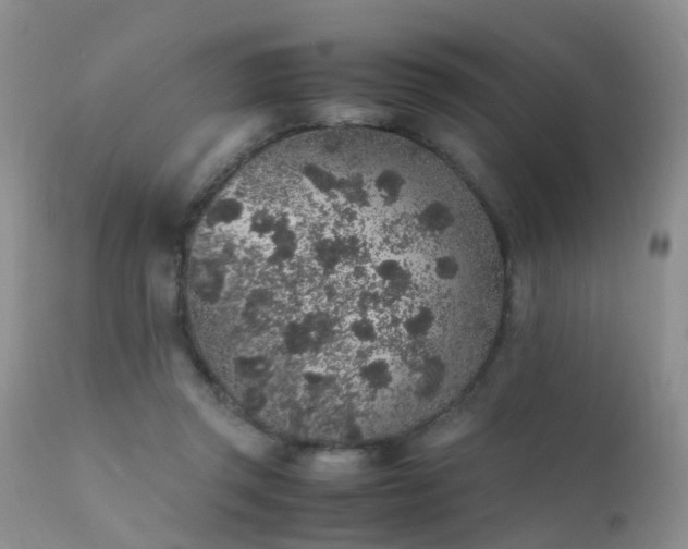 X0000112110357200908111448