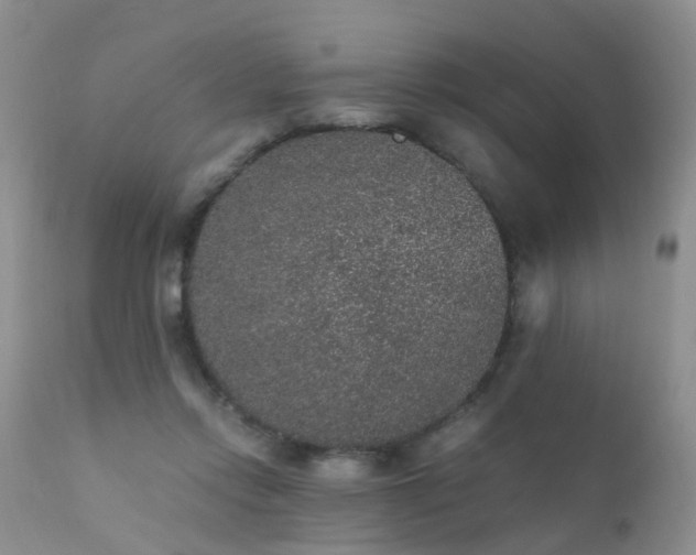 X0000112110358200908111448