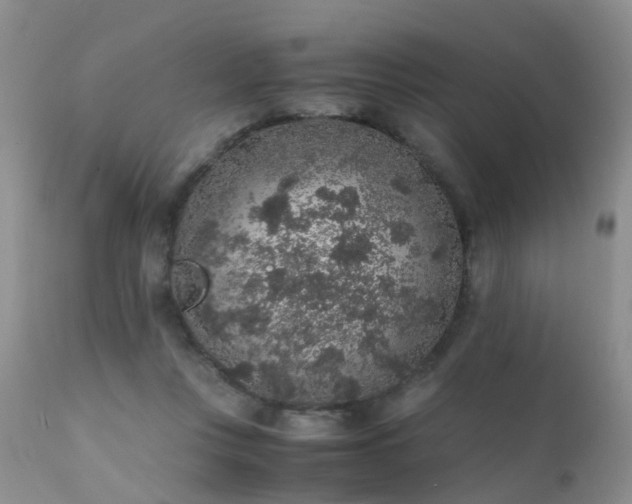 X0000112110359200908111448