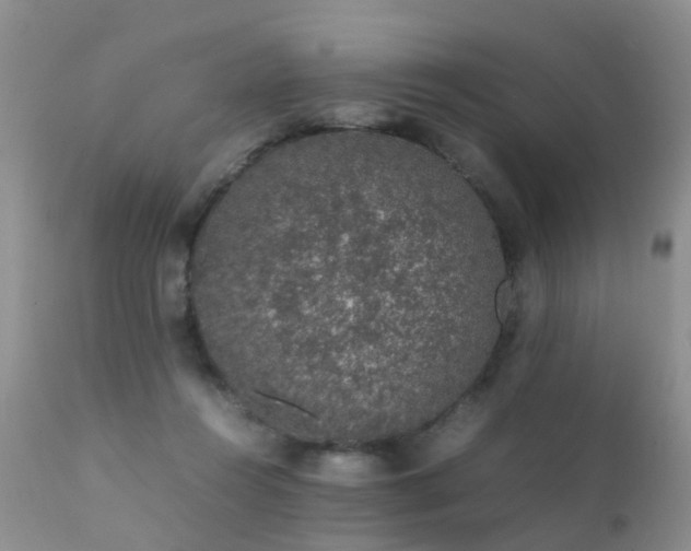 X0000112110360200908111448