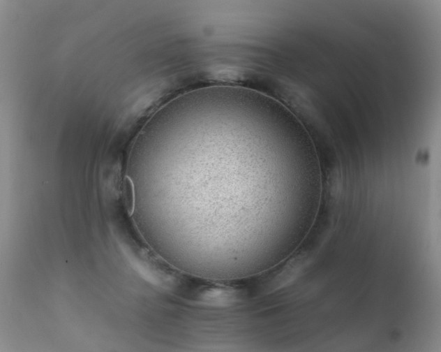 X0000112110364200908111448