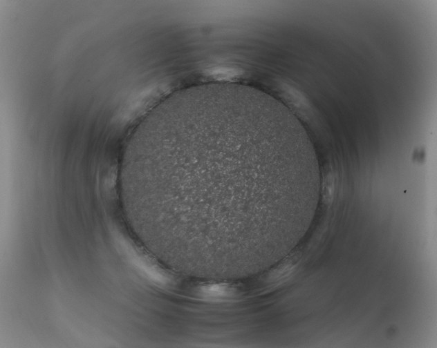 X0000112110365200908111448