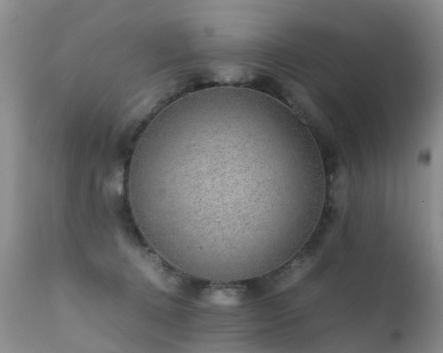 X0000112110368200908111448