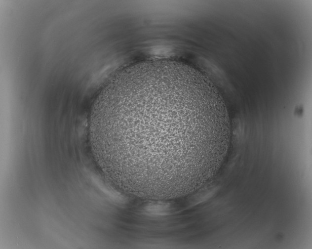 X0000112110369200908111448