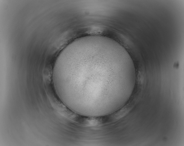 X0000112110370200908111448