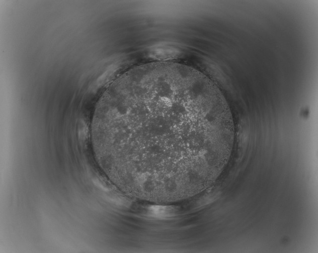 X0000112110371200908111448