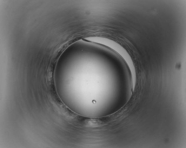 X0000112110372200908111448