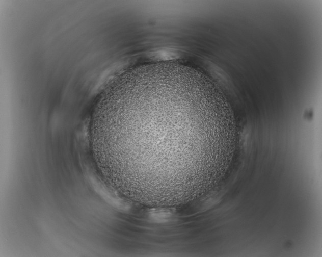 X0000112110373200908111448