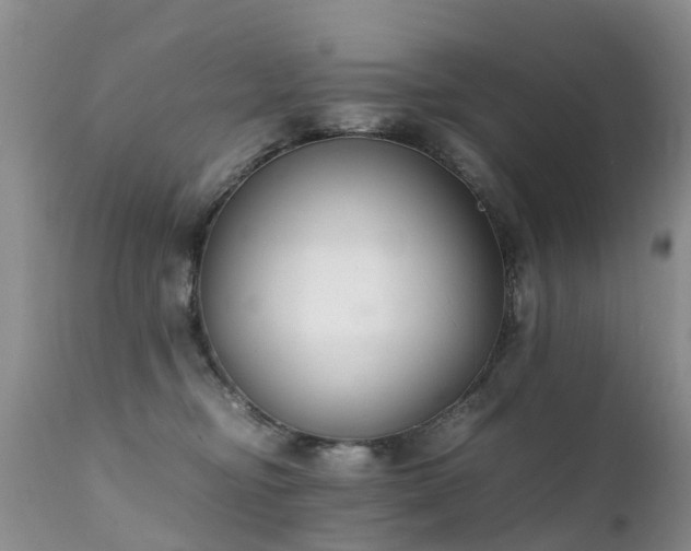 X0000112110374200908111448