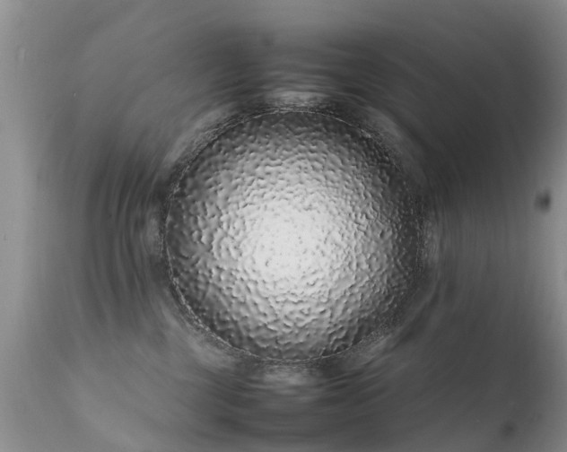 X0000112110377200908111448