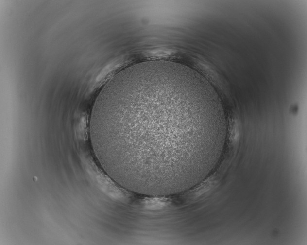 X0000112110378200908111448