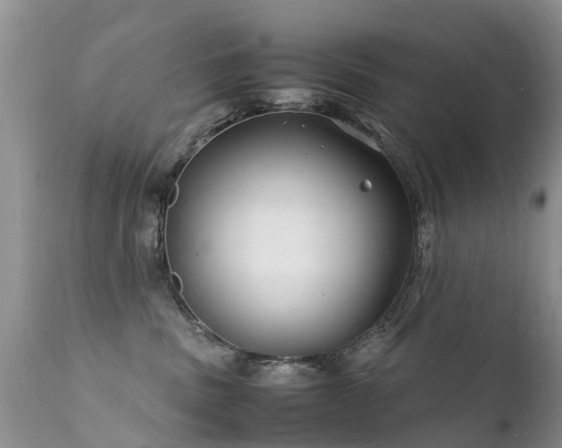 X0000112110379200908111448