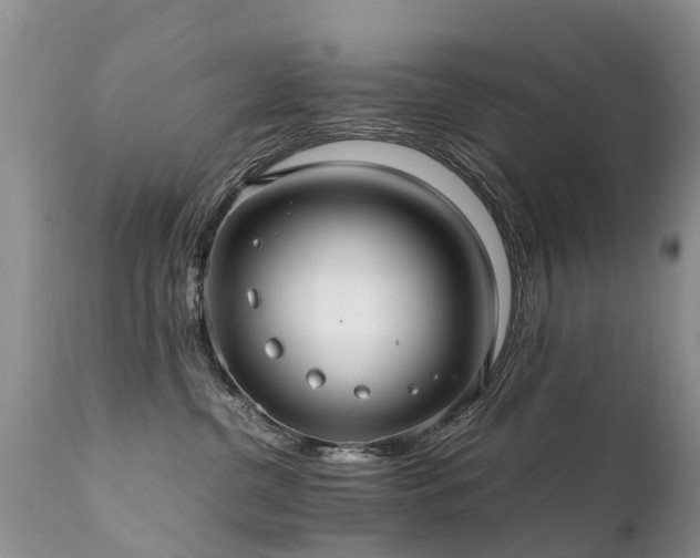 X0000112110380200908111448