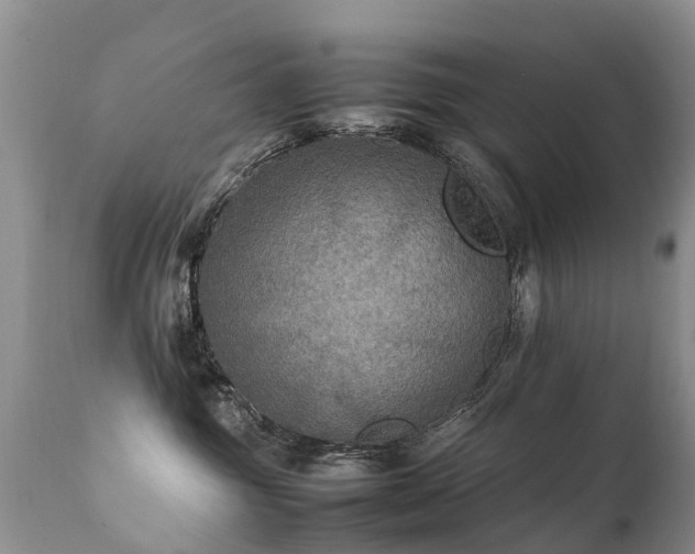 X0000112110381200908111448