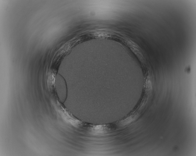 X0000112110382200908111448