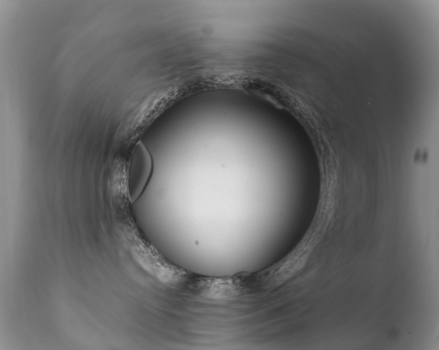 X0000112110384200908111448