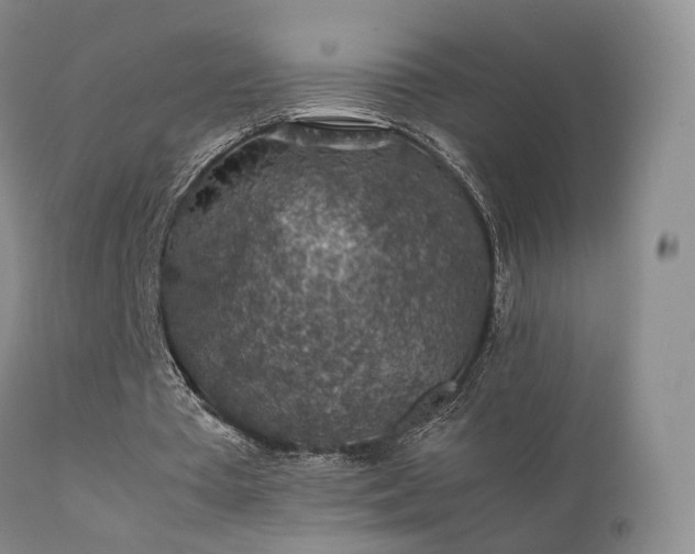 X0000112110385200908111448