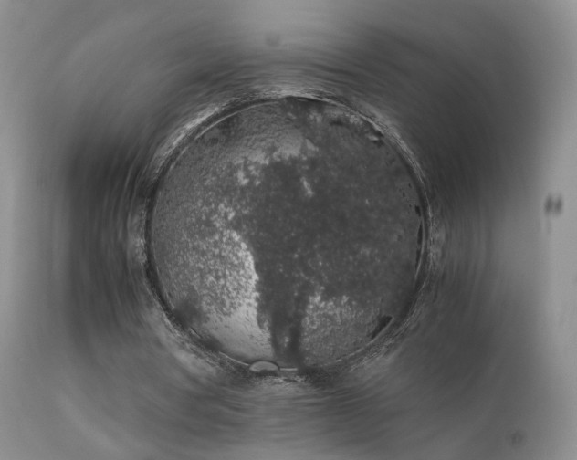 X0000112110386200908111448