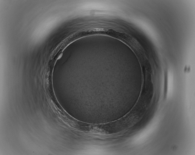 X0000112110387200908111448